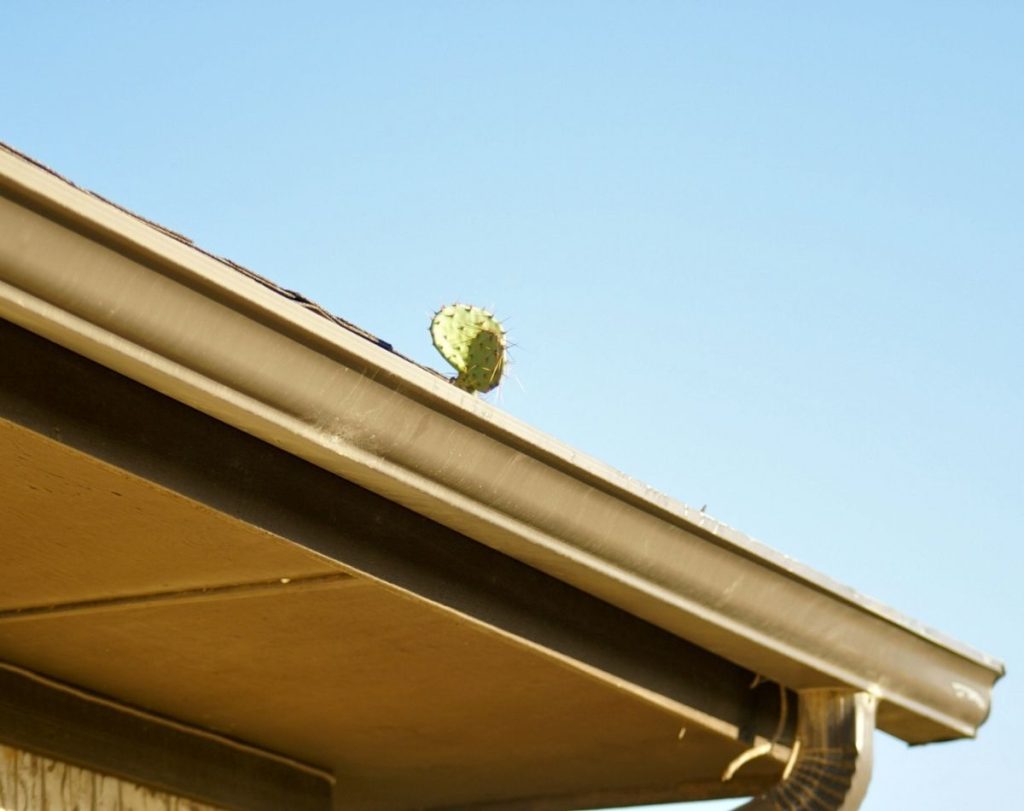 Gutter Services in Highland Beach, Florida